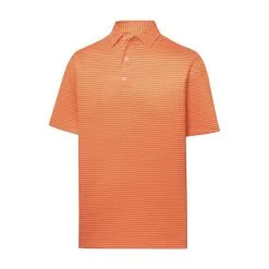 FootJoy Golf FootJoy ProDry Lisle Classic Pencil Stripe Polo 20 FootJoy Golf FootJoy ProDry Lisle Classic Pencil Stripe Polo -Brands Shop fj 28119 42045.1675977514